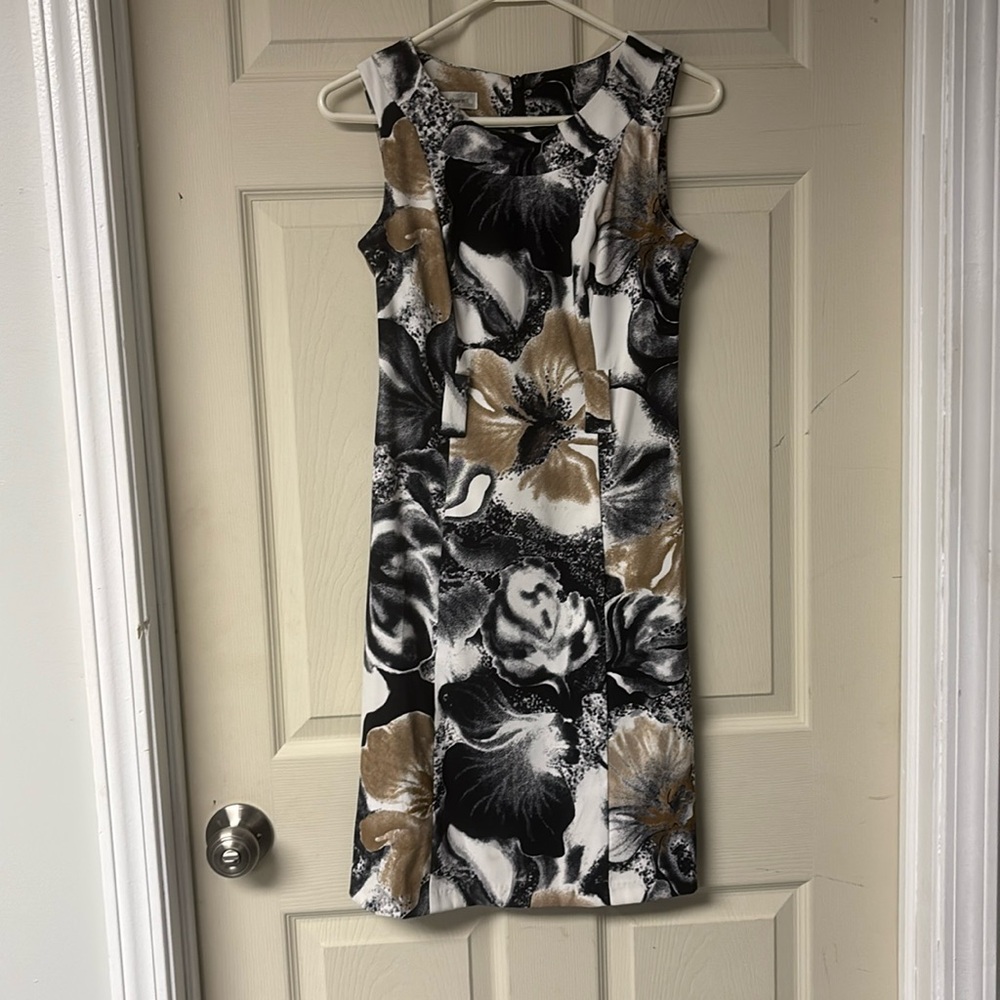 Dress Barn Petite 2 dress
